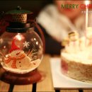 장항솔바람캠핑장 - MERRY CHRISTMAS~
