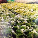 구암동452 이미지