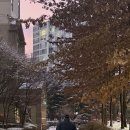 포레스트키즈어린이집 이미지