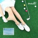 골프 델렌 이미지