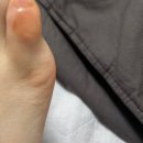 이가네 옛날국밥 | 파라파라나 춰야지
