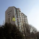 분당-240 이미지