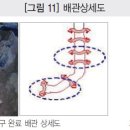 영동수도건설 이미지