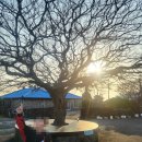 평대대수굴바당조끄띠 이미지