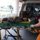 조은누리 이미지