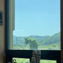 충주지씨 열녀각 | 충주 로컬 메밀 맛집 중앙탑막국수 막국수 치킨 후기