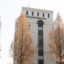 더와이즈치과기공소 이미지