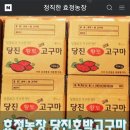 효정농장 이미지