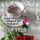 11월23일 고발뉴스 이미지