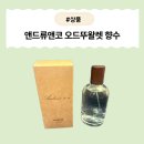 [제품] 오렌지 나무 아래의 산책처럼 – 앤드류앤코 오드뚜왈렛 향수 후기