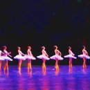 아름발레학원 이미지