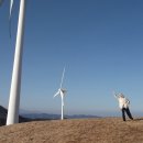 이도목장 | 강원도 여행지 추천 | 아이들과 방문하기 좋은 삼양목장 대관령 삼양라운드힐 내돈내산 방문후기