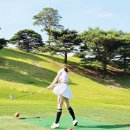 성원광학 | 가성비 끝판왕 도미 T200 골프거리측정기, 장점부터 실전 활용까지