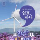 구지바우영농조합법인 | 9월 가을여행｜가볼 만한 곳 찾다가 발견한 감악산 아스타 국화축제🌸