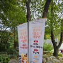 [절] 수원 대한불교조계종 봉녕사 방문 후기 🪷