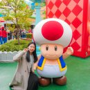 무한질주 | 일본 오사카 유니버셜스튜디오 재팬 입장권 가격 티켓 오픈런 후기