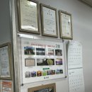 유정낙지마을 | 고창 현지인 노포 맛집! 신선한 산낙지를 맛볼 수 있는 '유정낙지마을' 내돈내산 후기! 주차, 메뉴 정보 有