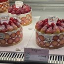멜론노래연습장 | 광교 케이크 믿먹 맛집, 카페디아즈 후르츠몽땅케이크 후기