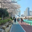 갈골보리밥 이미지