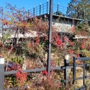 KONG & COFFEE(콩엔커피) 이미지