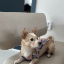 달과7펜스 이미지