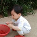 청해광택 이미지