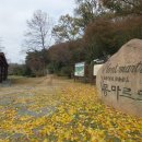 태평동성당 이미지