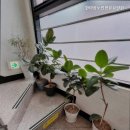 한마음노인전문요양원 이미지