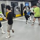 팀크로우 MMA 이미지
