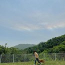 미소사랑