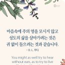 모시지 않고 이미지