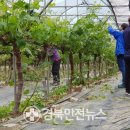 대신동주민센터 이미지