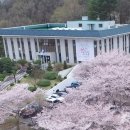 도동어린이도서관 이미지