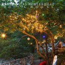 평창 태기산 캠핑장 펜션 | 강원도계곡펜션 평창태기산캠핑장펜션 여름국내여행 떠날 때 주말나들이로도 좋은 계곡은?