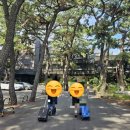 송도시장 | 포항 코모도 호텔 디럭스 트윈 룸 송도해수욕장 죽도시장 근처