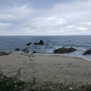 다온공인행정사 이미지