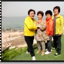 압량초등학교 이미지