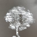 연산부인과의원 이미지