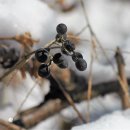 주포농장 이미지