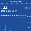 그린월드 이미지