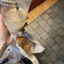 [WORK] 뚜레쥬르 알바 후기: 포장 고수, 장단점, 지원 꿀팁