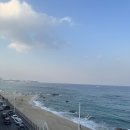 영진을 담다 이미지