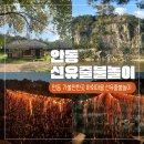 낙동강변24 | 안동 가볼만한곳 하회마을 선유줄불놀이 예약팁 명당자리 후기