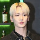 샤이니헤어 이미지