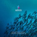 (주)솔포투 이미지