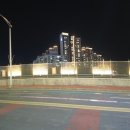 선유과선교 이미지