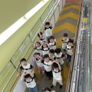 경기도 어린이 박물관 견학💙 이미지