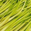 한골농장 이미지