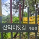 옛길 | 충북 여행 반려견 동반 가능한 산막이옛길 주말 방문 후기