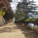 도산서원길(도산면) 이미지